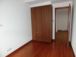 Four Seasons Park (D10), Condominium #496307921